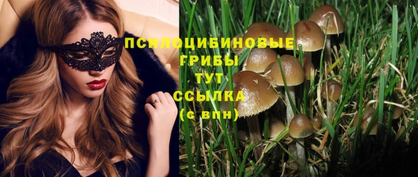 гидропоника Липки