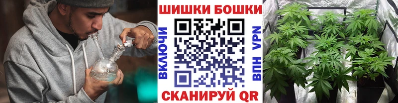 Марихуана план купить Рыбинск